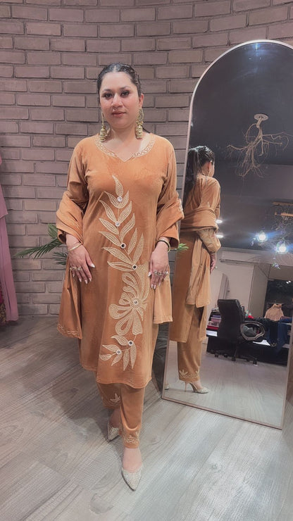 Nazeer Beige Designer velvet suit