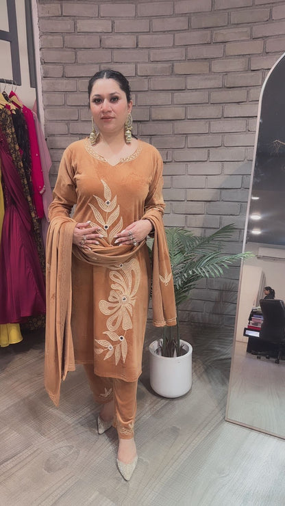 Nazeer Beige Designer velvet suit
