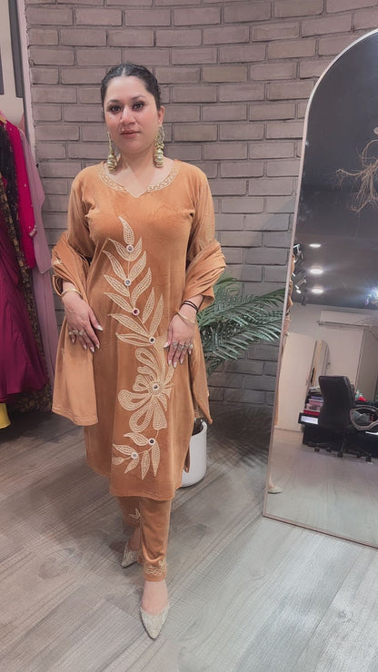 Nazeer Beige Designer velvet suit