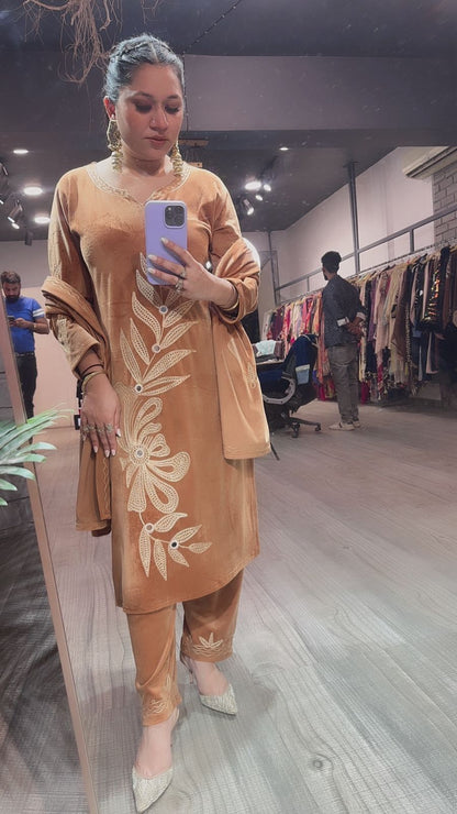 Nazeer Beige Designer velvet suit