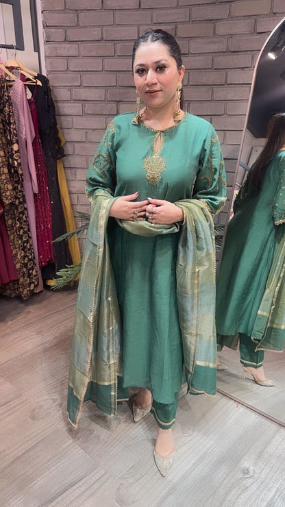 Biryani Green Designer Handwork suit