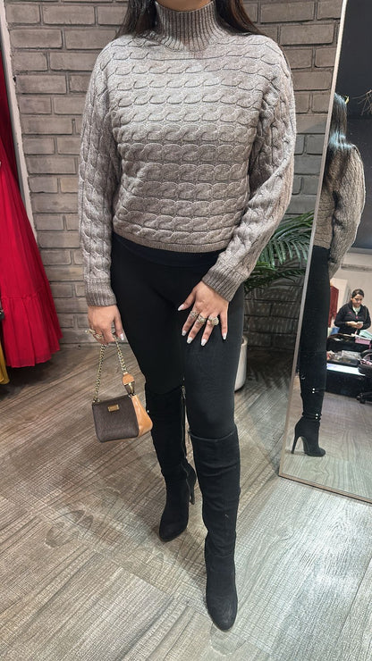 Avira Mouse high Neck Woolen Sweater