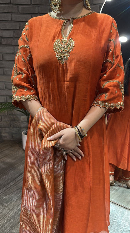 Biryani Rust Designer Handwork suit