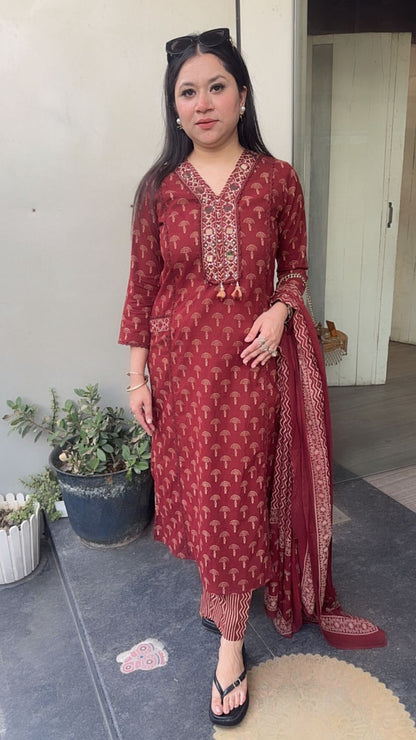 Hawa Brown Mirror Digital print Suit