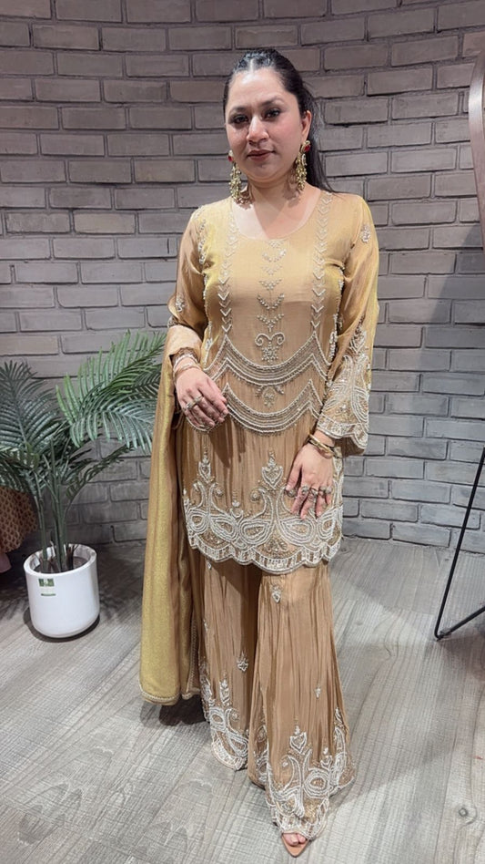 Tarana Golden Heavy Hand work Designer Suit