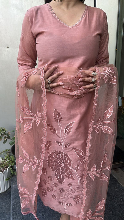 Titos Pink Applique Designer Suit