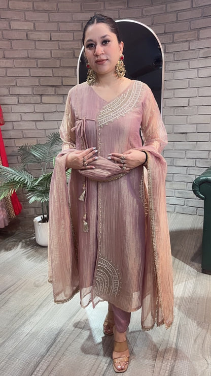 Vanya Anrakha Shimmer Style Designer Suit