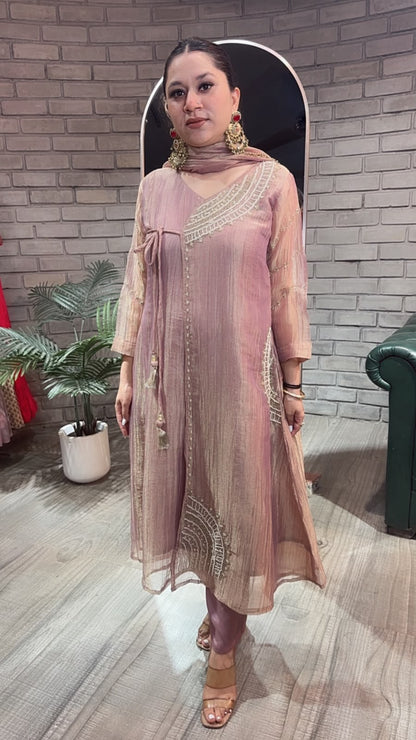 Vanya Anrakha Shimmer Style Designer Suit