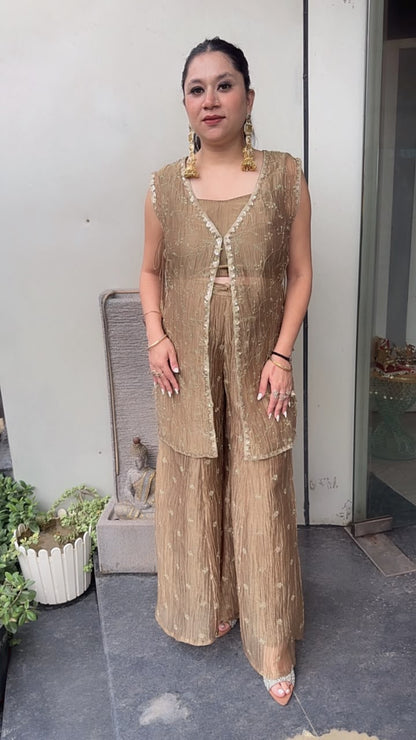 Nera Golden Shimmer 3pc Indo western Style