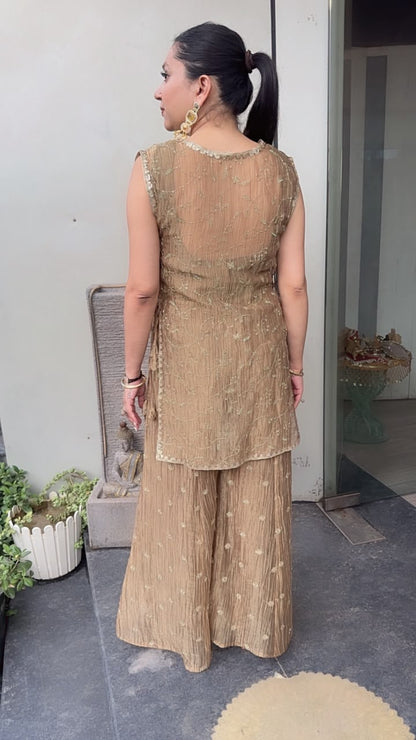 Nera Golden Shimmer 3pc Indo western Style