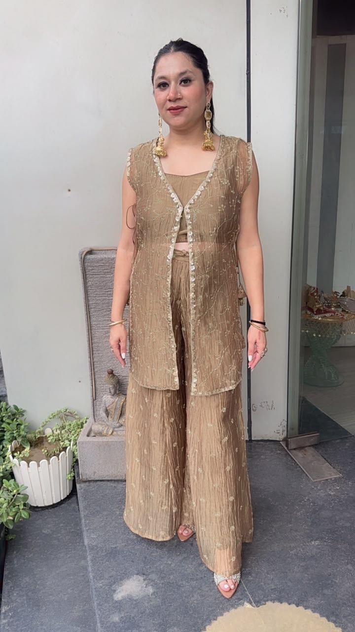 Nera Golden Shimmer 3pc Indo western Style