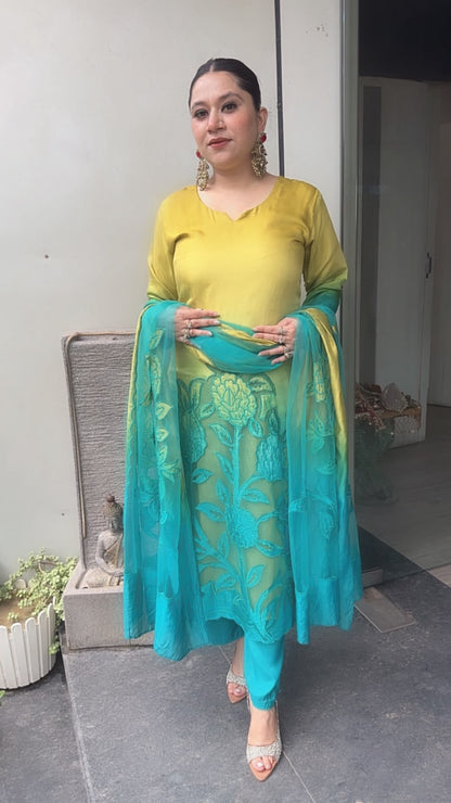 Wakhra Blue Yellow Applique work Cotton Designer Suit