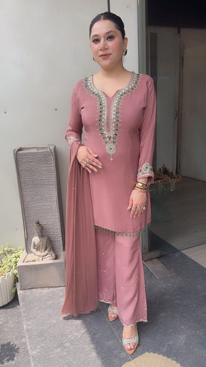 Shehnaaz Stone Embroidered Designer suit