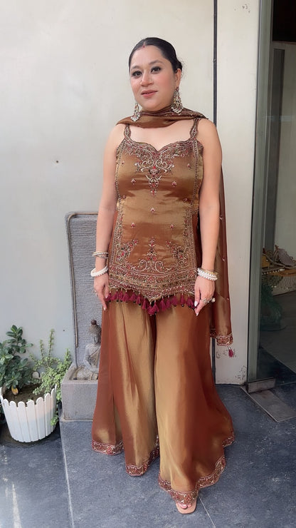 Apsara Champion Handwork Tassel Designer Plazoo Set