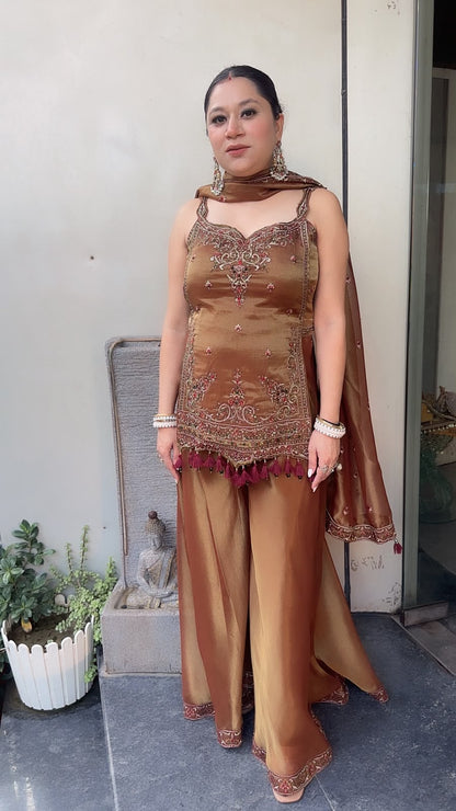 Apsara Champion Handwork Tassel Designer Plazoo Set